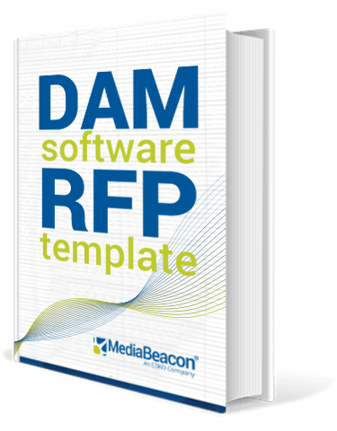 DAM Software RFP Template