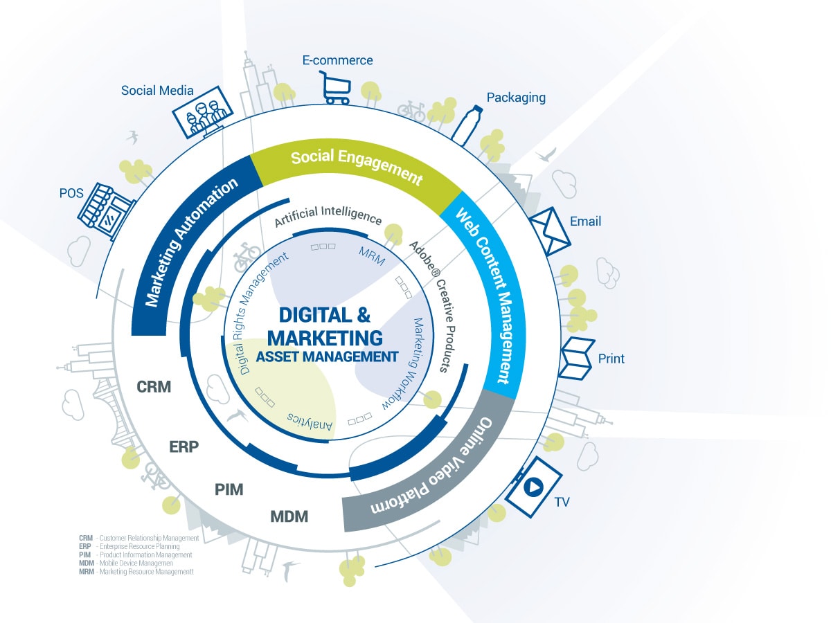 Digital asset management ecosystem