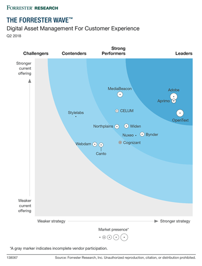 DAM Forrester Wave 2018 Chart